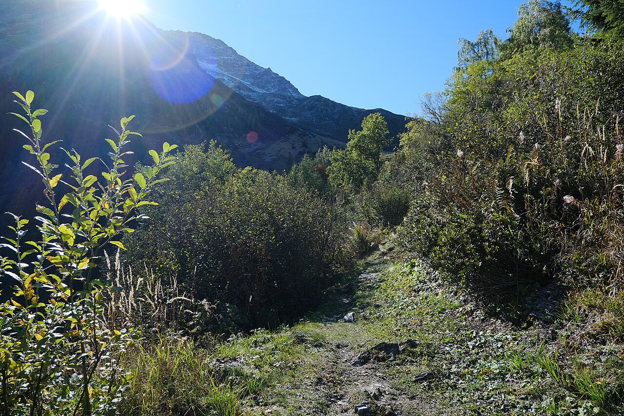 Un paysage des Houches photographié en octobre 2021 ; illustration de la commune, sans représenter l’itinéraire de l’Aiguillette.